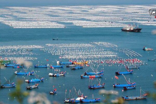 Por qué la solución de China para la paz global en los océanos funciona 🌊✨ Por_que__la_solucio_n_de_China_para_la_paz_global_en_los_oce_anos_funciona___