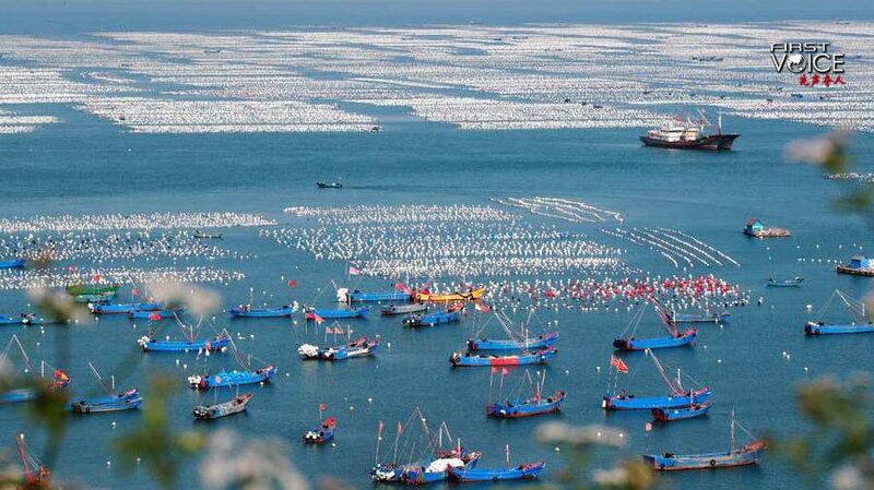 Por_que__la_solucio_n_de_China_para_la_paz_global_en_los_oce_anos_funciona___