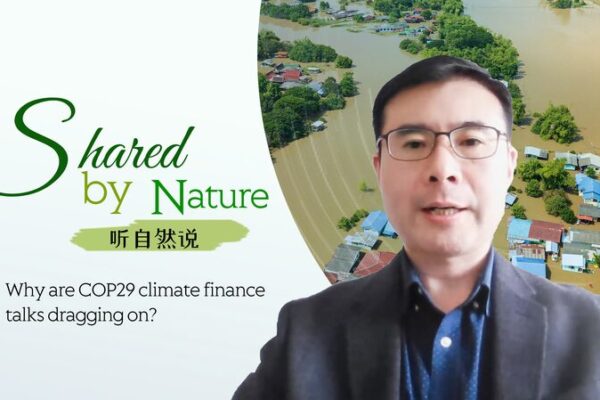 ¿Por qué se prolongan las conversaciones sobre financiamiento climático en la COP29? _Por_que__se_prolongan_las_conversaciones_sobre_financiamiento_clima_tico_en_la_COP29_ video poster