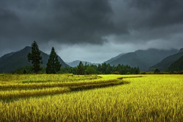 _Prepa_rense__China_renueva_alerta_azul_por_intensas_lluvias