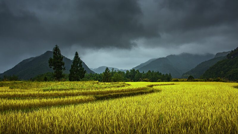 _Prepa_rense__China_renueva_alerta_azul_por_intensas_lluvias