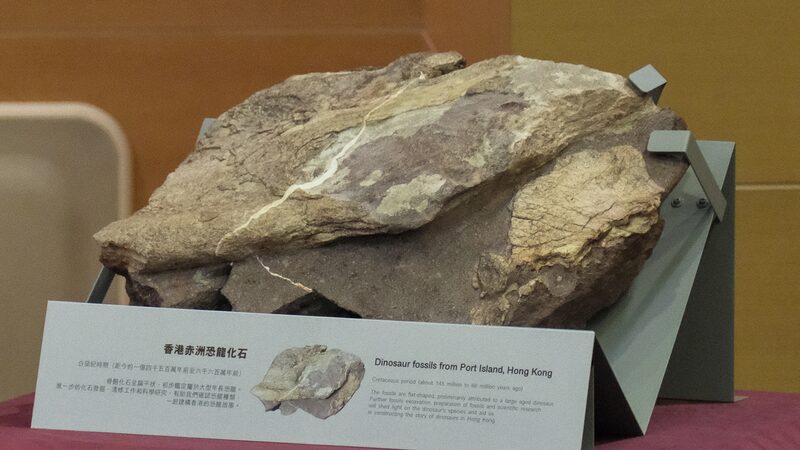_Primeros_fo_siles_de_dinosaurio_desenterrados_en_Hong_Kong____Un_secreto_de_100_millones_de_an_os
