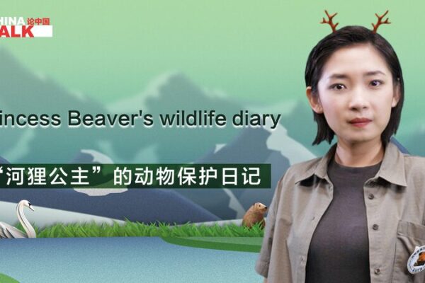 Princesa Castor: La Misión Salvaje de Chu Wenwen para Salvar a los Animales de Xinjiang 🦫 Princesa_Castor__La_Misio_n_Salvaje_de_Chu_Wenwen_para_Salvar_a_los_Animales_de_Xinjiang__ video poster