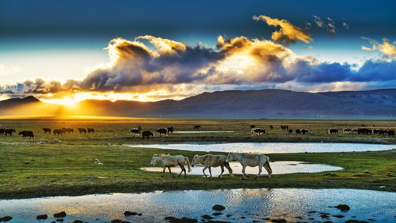 Prono_stico_Futuro__El_Norte_de_la_Meseta_Qinghai_Xizang_Sera__Ma_s_Ca_lido_y_Hu_medo___