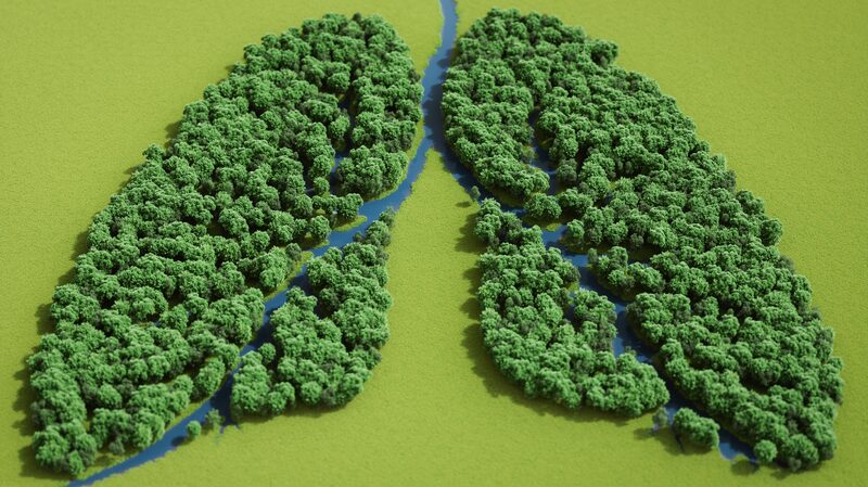 Protegiendo_Tus_Pulmones__La_Deteccio_n_Temprana_de_la_EPOC_es_Clave___