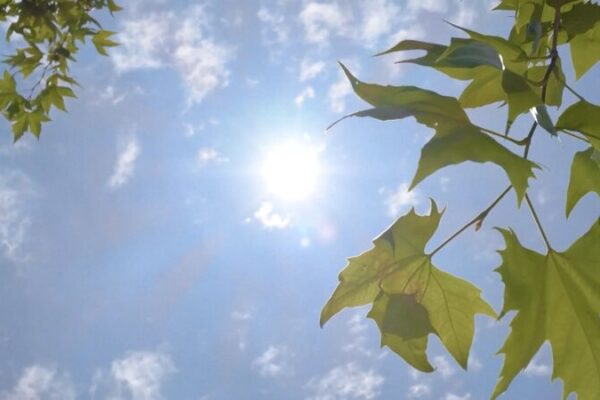Provincias chinas enfrentan ola de calor: autoridades aseguran suministro de energía y agua Provincias_chinas_enfrentan_ola_de_calor__autoridades_aseguran_suministro_de_energi_a_y_agua video poster