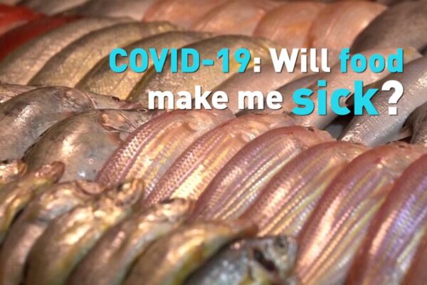 ¿Puede el COVID-19 en los alimentos enfermarnos? Aquí está la realidad _Puede_el_COVID_19_en_los_alimentos_enfermarnos__Aqui__esta__la_realidad video poster