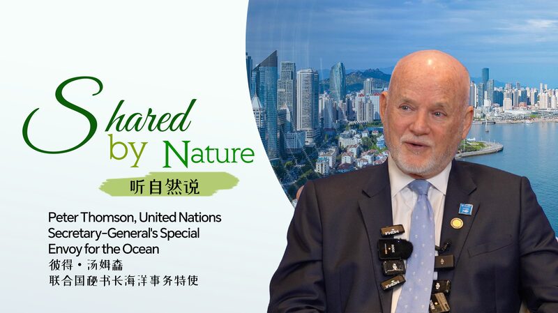 Qingdao_brilla_en_la_De_cada_de_Ciencia_Ocea_nica_de_la_ONU__ video poster