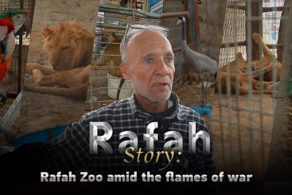 Rafah_Zoo__Guardianes_de_la_vida_silvestre_en_medio_del_conflicto_en_Gaza video poster