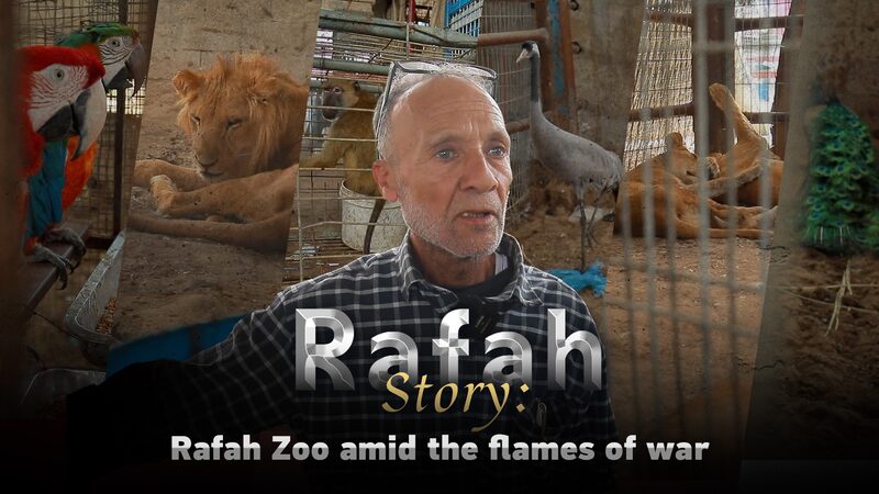 Rafah_Zoo__Guardianes_de_la_vida_silvestre_en_medio_del_conflicto_en_Gaza video poster
