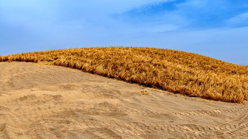 Rejillas_de_Pasto__Combatiendo_la_Desertificacio_n_en_el_Noroeste_de_China__