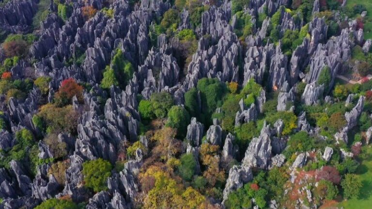 Revelando_la_Magia_del_Bosque_de_Piedra_de_Yunnan__Un_Mundo_de_Piedra_y_Vida__ video poster