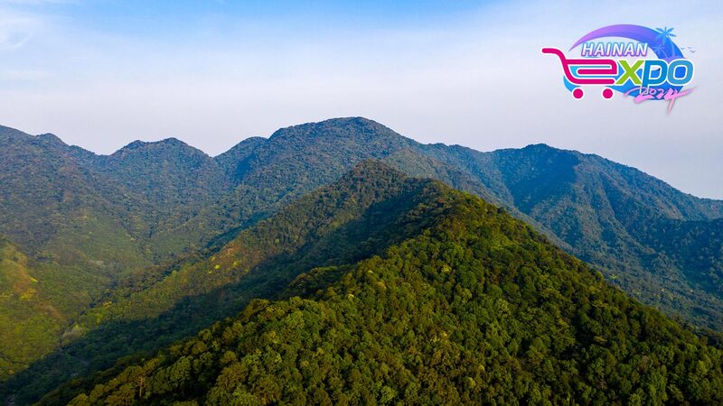 Revelando_las_Maravillas_de_la_Fauna_Rara_en_la_Selva_Tropical_de_Bawangling_en_Hainan