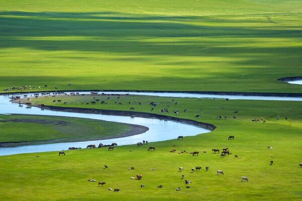 Revelando las Maravillas de la Pradera de Hulun Buir: El Paraíso Verde de China 🌿 Revelando_las_Maravillas_de_la_Pradera_de_Hulun_Buir__El_Parai_so_Verde_de_China__