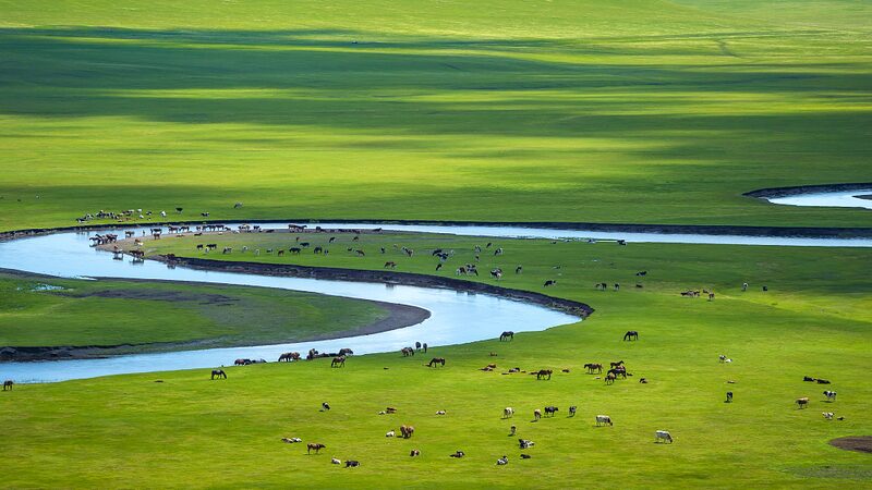 Revelando_las_Maravillas_de_la_Pradera_de_Hulun_Buir__El_Parai_so_Verde_de_China__