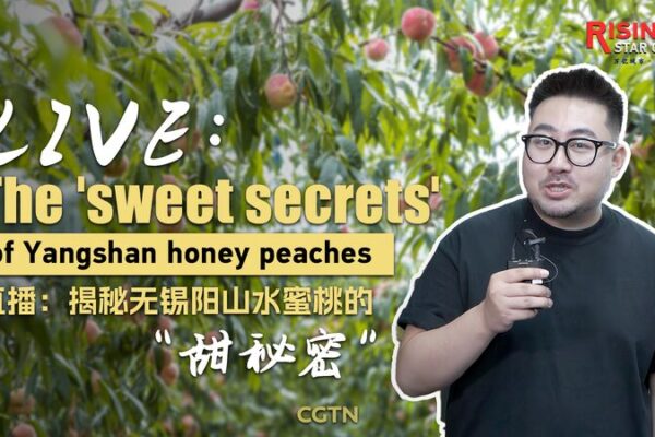 Revelando los Dulces Secretos de los Duraznos de Miel de Yangshan 🍑 Revelando_los_Dulces_Secretos_de_los_Duraznos_de_Miel_de_Yangshan__ video poster