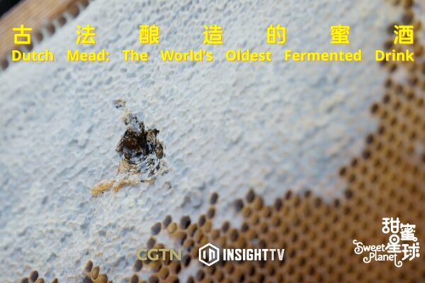 Reviviendo_Sabores_Antiguos__Hidromiel_Holandesa_Regresa video poster