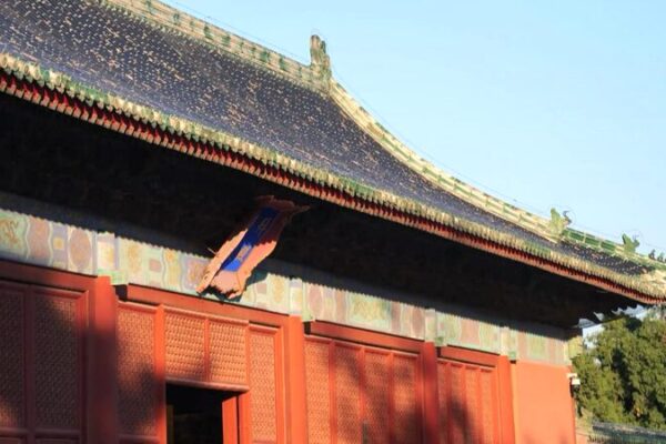 Revivir el Patrimonio de China: La Juventud Abrazando la Tradición con un Toque Moderno Revivir_el_Patrimonio_de_China__La_Juventud_Abrazando_la_Tradicio_n_con_un_Toque_Moderno