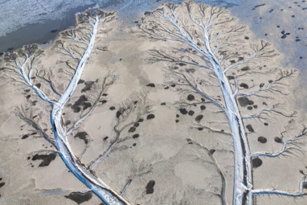 Río Congelado en Zhejiang Florece con ‘Árboles de Hielo’ 🌬️❄️ Ri_o_Congelado_en_Zhejiang_Florece_con__A_rboles_de_Hielo______