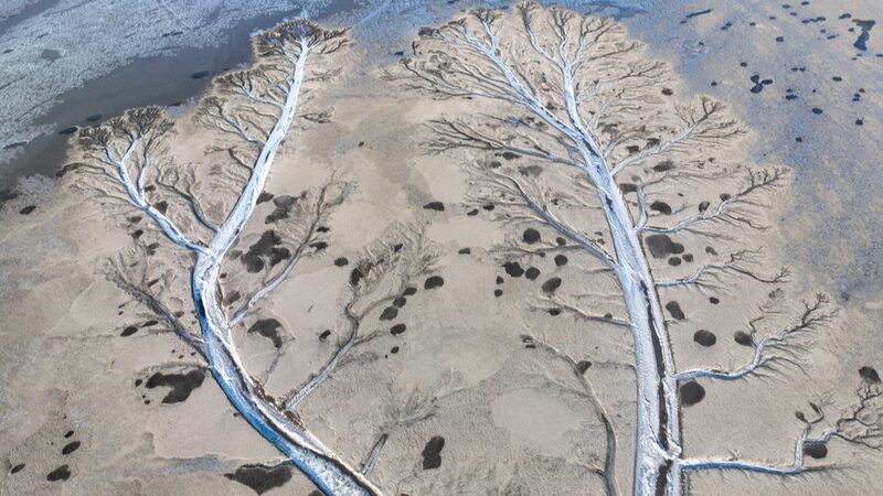Ri_o_Congelado_en_Zhejiang_Florece_con__A_rboles_de_Hielo______