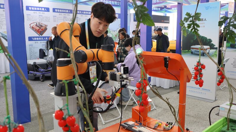 Robot_recolector_de_tomates_se_roba_el_protagonismo_en_la_feria_de_agrotecnologi_a_de_China___