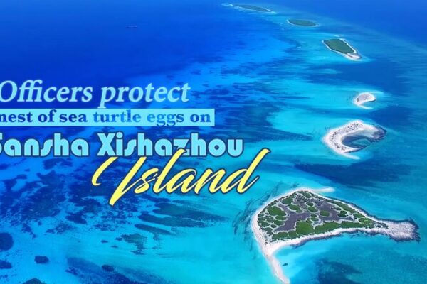 Salvando tortugas marinas 🐢: Oficiales protegen nido en la isla Xishazhou de Sansha en China Salvando_tortugas_marinas____Oficiales_protegen_nido_en_la_isla_Xishazhou_de_Sansha_en_China video poster