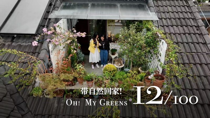 Sanacio_n_en_un_Oasis_de_Porcelana__El_Jardi_n_U_nico_de_Tianyi_en_Guilin video poster
