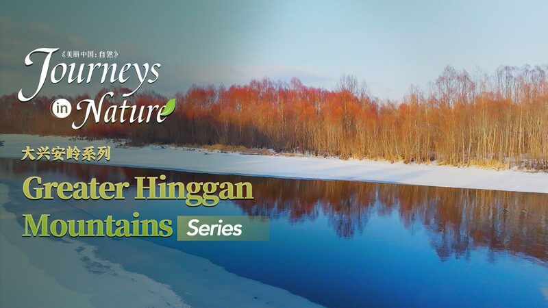 Sauces_Rojas_y_Ri_os_Helados__La_Magia_Invernal_de_las_Montan_as_Greater_Hinggan____ video poster
