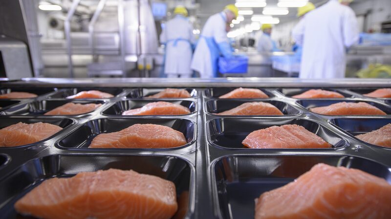 Se_encuentran_ma_s_de_3_600_qui_micos_de_embalaje_de_alimentos_en_nuestros_cuerpos___
