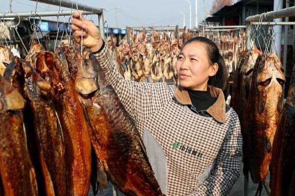 Secado al Sol de Peces en Suqian: Una Tradición Festiva Brilla 🌞🐟 Secado_al_Sol_de_Peces_en_Suqian__Una_Tradicio_n_Festiva_Brilla___