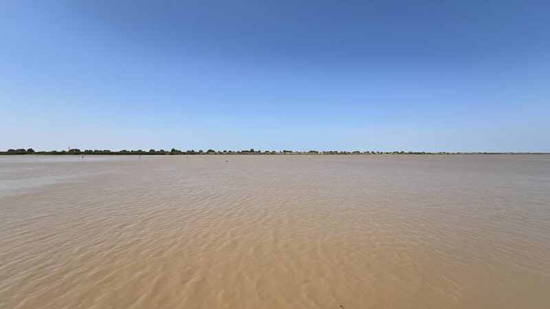 Shandong_lanza_libro_blanco_sobre_la_conservacio_n_de_la_biodiversidad_en_el_Delta_del_Ri_o_Amarillo__