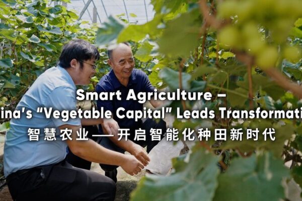 Shouguang__La_ciudad_china_que_revoluciona_la_agricultura_con_alta_tecnologi_a__ video poster