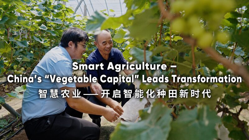 Shouguang__La_ciudad_china_que_revoluciona_la_agricultura_con_alta_tecnologi_a__ video poster