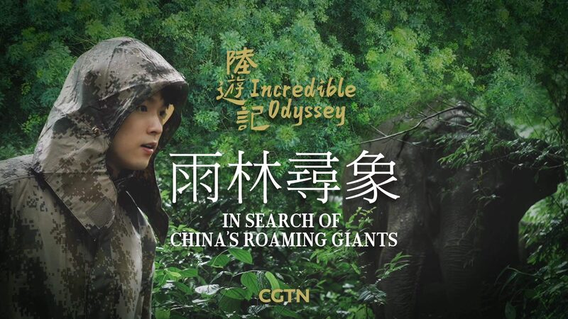 Siguiendo_a_los_Gigantes_Errantes_de_China__Una_Aventura_en_Yunnan video poster