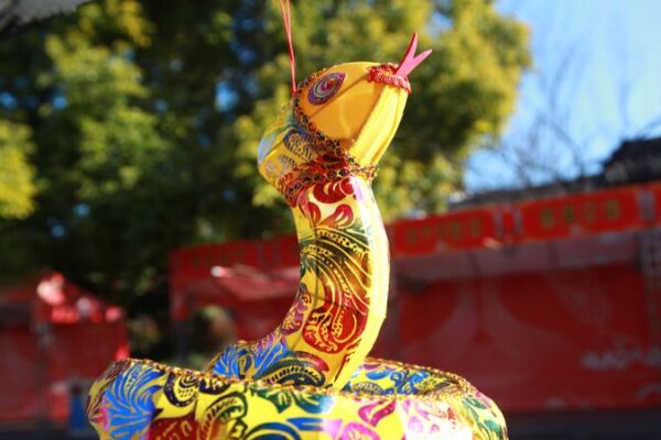 __Snake_lanterns_light_up_the_Spring_Festival_in_Nanjing