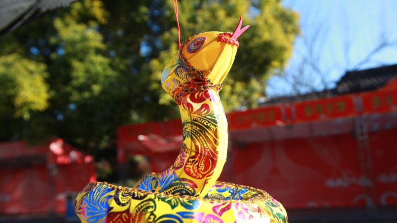 __Snake_lanterns_light_up_the_Spring_Festival_in_Nanjing