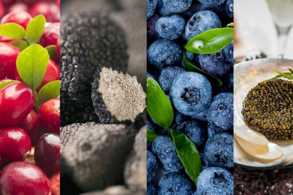 _Sorprendentes_productos_alimenticios_del_noreste_de_China_