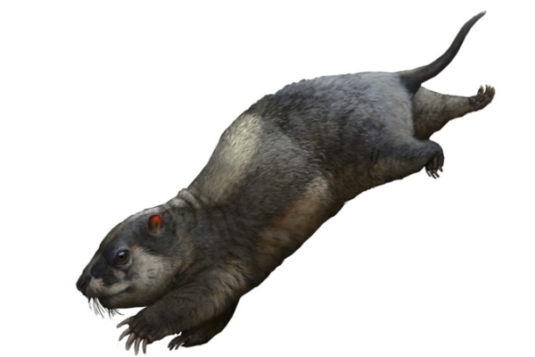 Sorpresa_Jura_sica__Reptil_de_170_millones_de_an_os_desenterrado_en_las_Tres_Gargantas_de_China