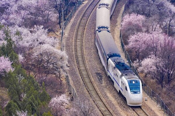 Su_bete_a_los__trenes_hacia_la_primavera__de_China_para_un_viaje_ma_gico_entre_flores___
