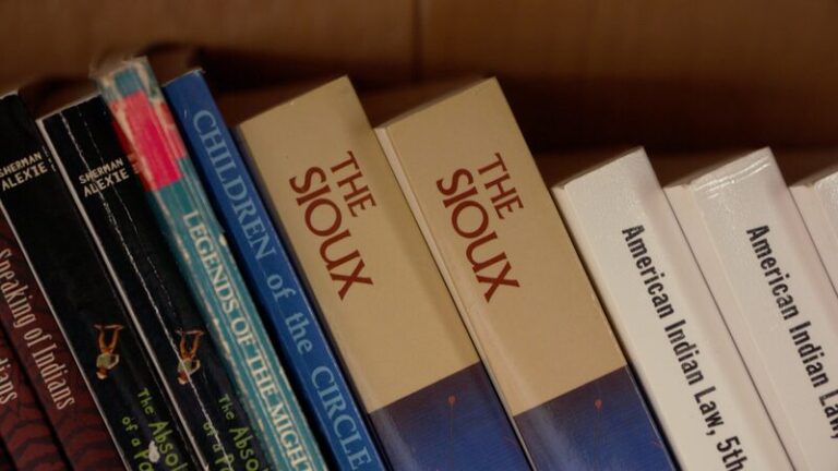 Suen_os_en_Pausa__Jo_venes_Indi_genas_Buscan_Oportunidades_en_Casa video poster