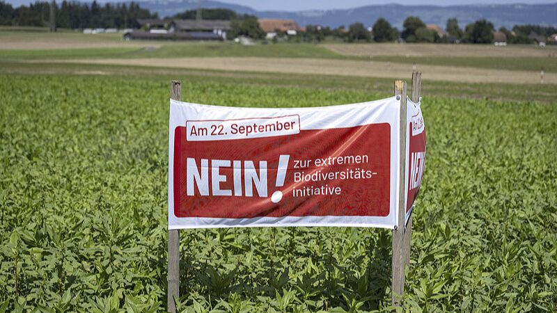 Suiza_vota_sobre_un_audaz_plan_para_salvar_la_biodiversidad____