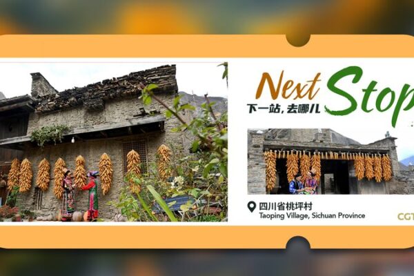 Taoping Village: El antiguo tesoro Qiang conquistando corazones en 2024 🌟 Taoping_Village__El_antiguo_tesoro_Qiang_conquistando_corazones_en_2024__
