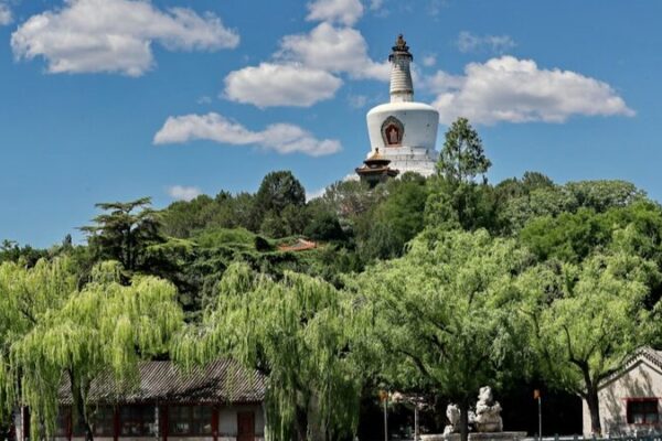 _Te_sientes_estresado__Descubre_la_exuberante_vegetacio_n_de_los_sitios_histo_ricos_de_China__