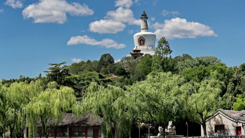 _Te_sientes_estresado__Descubre_la_exuberante_vegetacio_n_de_los_sitios_histo_ricos_de_China__