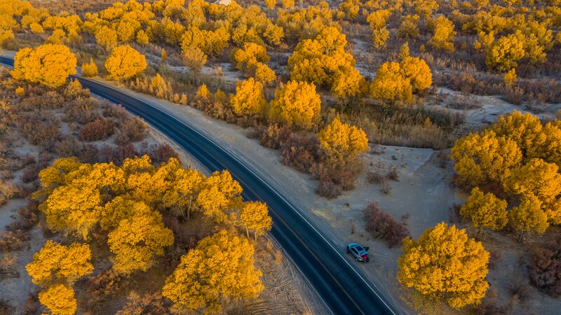 Tejiendo_una_Bufanda_Verde_en_las_Arenas__Combatiendo_la_Desertificacio_n_en_Xinjiang