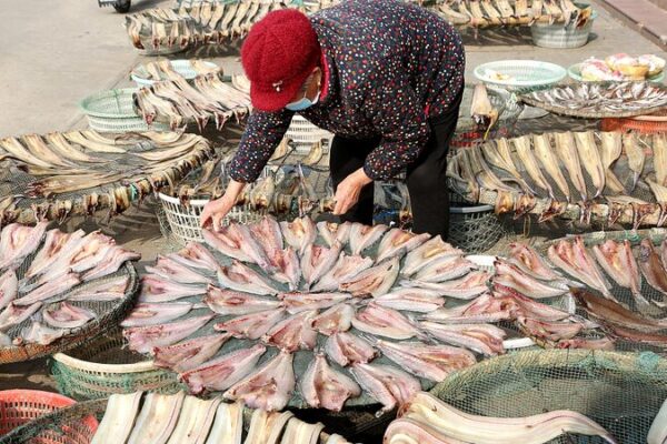 Temporada_de_Secado_al_Sol__Pescadores_del_Este_de_China_Transforman_Abundancia_en_Delicias_Secas___