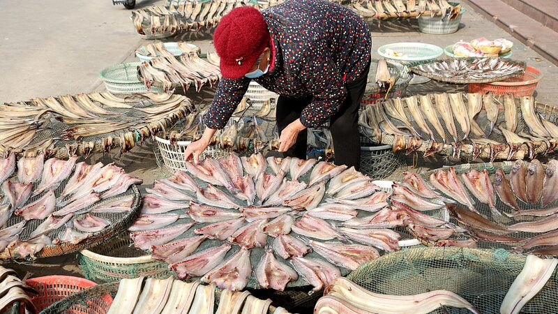Temporada_de_Secado_al_Sol__Pescadores_del_Este_de_China_Transforman_Abundancia_en_Delicias_Secas___