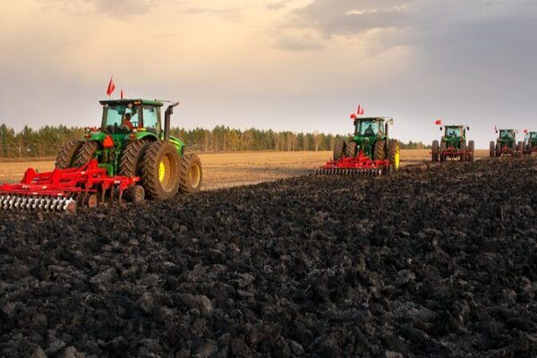 Tierra_Negra__El__Panda_de_la_Agricultura__Revelado