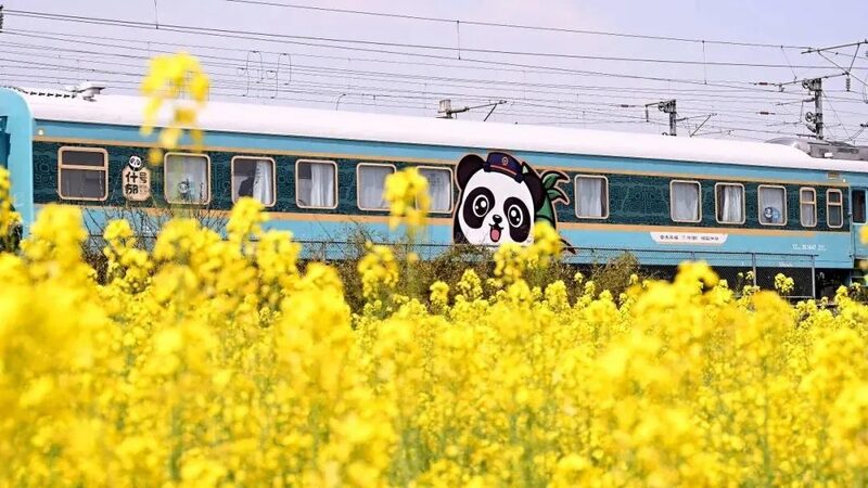 _Todos_a_Bordo__Tren_Tema_tico_de_Pandas_Sale_de_Chengdu_con_Estilo