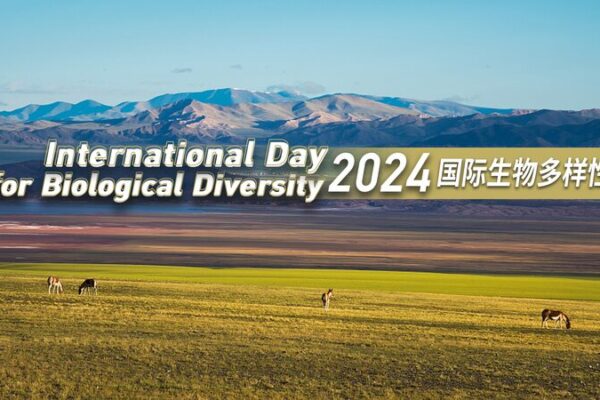 Únete al Plan: La Adorable Vida Silvestre de China en el Día Internacional de la Biodiversidad U_nete_al_Plan__La_Adorable_Vida_Silvestre_de_China_en_el_Di_a_Internacional_de_la_Biodiversidad